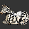 Fiberglass Horse